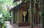 Туры в отель Khao Sok Tree House