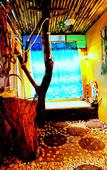 Туры в отель Khao Sok Tree House