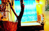 Туры в отель Khao Sok Tree House