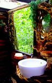Туры в отель Khao Sok Tree House