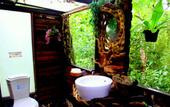 Туры в отель Khao Sok Tree House
