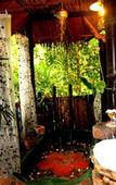 Туры в отель Khao Sok Tree House