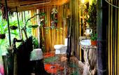 Туры в отель Khao Sok Tree House