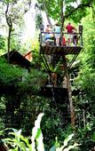 Туры в отель Khao Sok Tree House