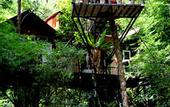 Туры в отель Khao Sok Tree House