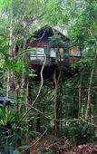 Туры в отель Khao Sok Tree House
