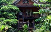 Туры в отель Khao Sok Tree House
