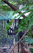 Туры в отель Khao Sok Tree House
