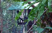 Туры в отель Khao Sok Tree House