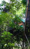 Туры в отель Khao Sok Tree House