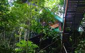 Туры в отель Khao Sok Tree House