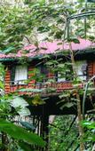 Туры в отель Khao Sok Tree House