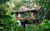 Туры в отель Khao Sok Tree House