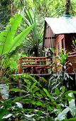Туры в отель Khao Sok Tree House