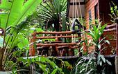 Туры в отель Khao Sok Tree House