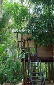 Туры в отель Khao Sok Tree House