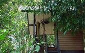 Туры в отель Khao Sok Tree House