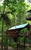 Туры в отель Khao Sok Tree House