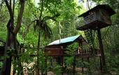 Туры в отель Khao Sok Tree House
