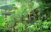 Туры в отель Khao Sok Tree House