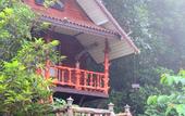 Туры в отель Khao Sok Tree House