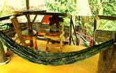 Туры в отель Khao Sok Tree House