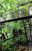 Туры в отель Khao Sok Tree House