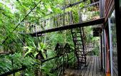 Туры в отель Khao Sok Tree House