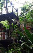 Туры в отель Khao Sok Tree House