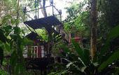 Туры в отель Khao Sok Tree House