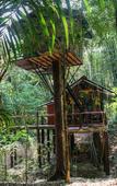 Туры в отель Khao Sok Tree House