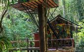 Туры в отель Khao Sok Tree House