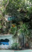 Туры в отель Khao Sok Tree House