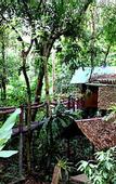 Туры в отель Khao Sok Tree House