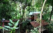 Туры в отель Khao Sok Tree House