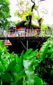 Туры в отель Khao Sok Tree House