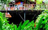 Туры в отель Khao Sok Tree House