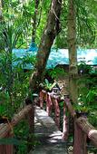 Туры в отель Khao Sok Tree House