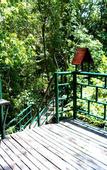 Туры в отель Khao Sok Tree House