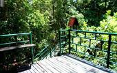 Туры в отель Khao Sok Tree House