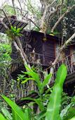 Туры в отель Khao Sok Tree House