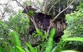 Туры в отель Khao Sok Tree House