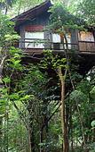 Туры в отель Khao Sok Tree House