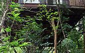 Туры в отель Khao Sok Tree House