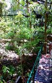 Туры в отель Khao Sok Tree House