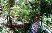 Туры в отель Khao Sok Tree House