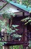 Туры в отель Khao Sok Tree House