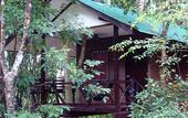 Туры в отель Khao Sok Tree House
