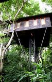 Туры в отель Khao Sok Tree House