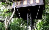 Туры в отель Khao Sok Tree House